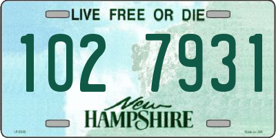 NH license plate 1027931