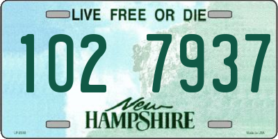 NH license plate 1027937