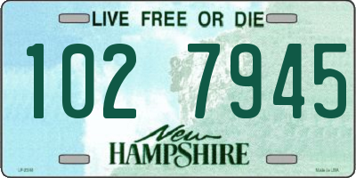 NH license plate 1027945