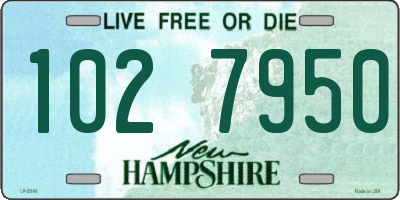 NH license plate 1027950