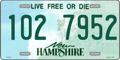 NH license plate 1027952