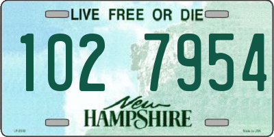 NH license plate 1027954