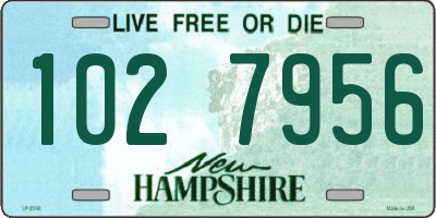 NH license plate 1027956