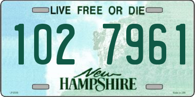 NH license plate 1027961