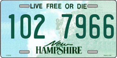 NH license plate 1027966