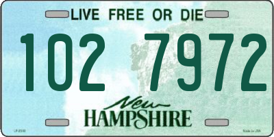NH license plate 1027972