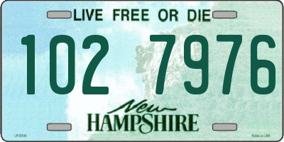 NH license plate 1027976
