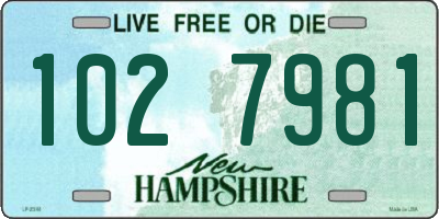 NH license plate 1027981