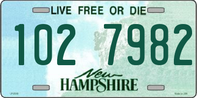 NH license plate 1027982