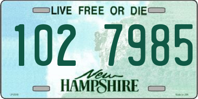 NH license plate 1027985