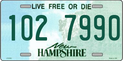NH license plate 1027990