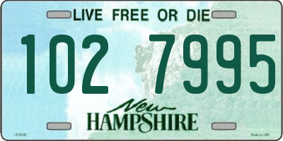 NH license plate 1027995