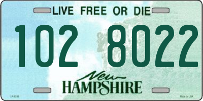 NH license plate 1028022
