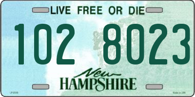 NH license plate 1028023