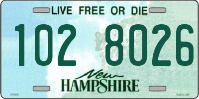 NH license plate 1028026