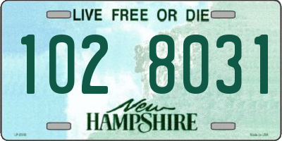 NH license plate 1028031