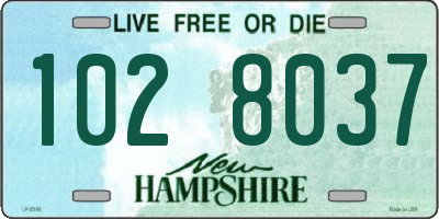 NH license plate 1028037