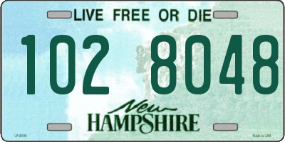 NH license plate 1028048