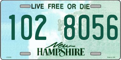 NH license plate 1028056