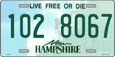 NH license plate 1028067