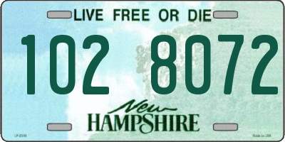 NH license plate 1028072