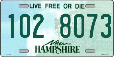 NH license plate 1028073