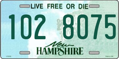NH license plate 1028075