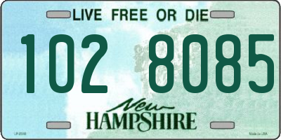 NH license plate 1028085