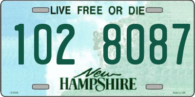 NH license plate 1028087