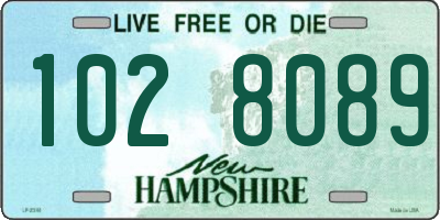 NH license plate 1028089