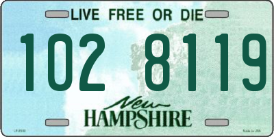 NH license plate 1028119