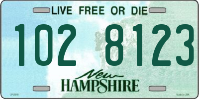 NH license plate 1028123