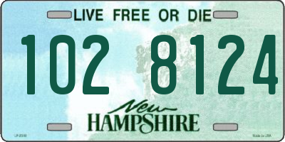NH license plate 1028124