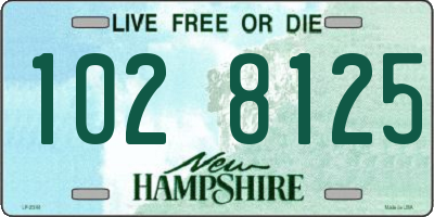 NH license plate 1028125