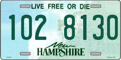 NH license plate 1028130