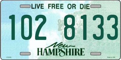 NH license plate 1028133