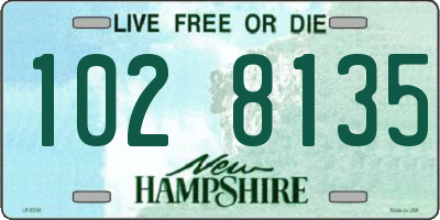 NH license plate 1028135