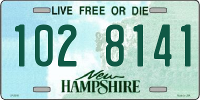 NH license plate 1028141