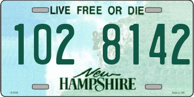 NH license plate 1028142