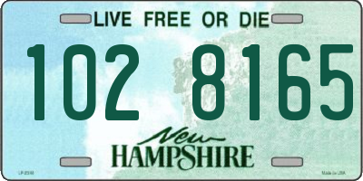 NH license plate 1028165