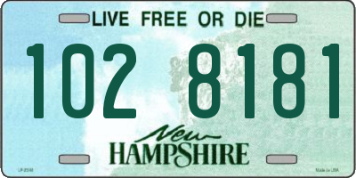 NH license plate 1028181