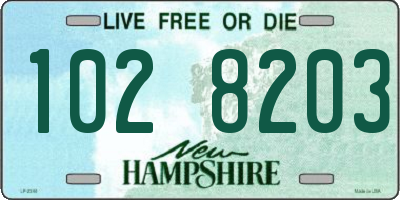 NH license plate 1028203