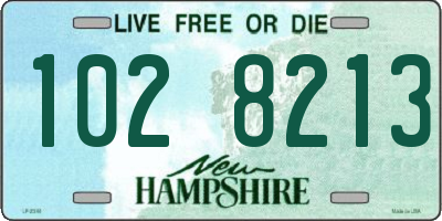 NH license plate 1028213