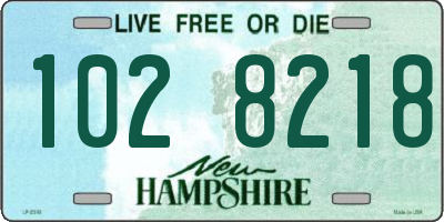 NH license plate 1028218