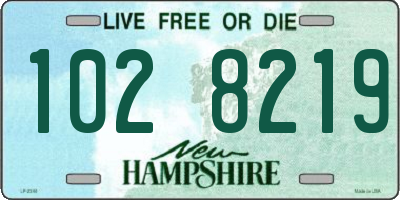 NH license plate 1028219