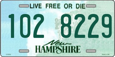 NH license plate 1028229