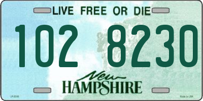 NH license plate 1028230