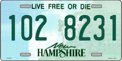 NH license plate 1028231