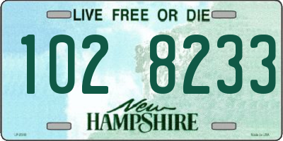 NH license plate 1028233