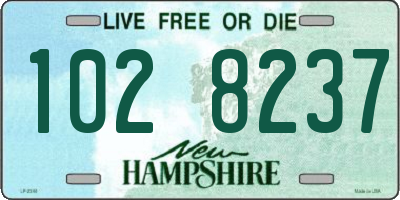 NH license plate 1028237